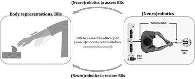 Assess and rehabilitate body representations via (neuro)robotics: An emergent perspective